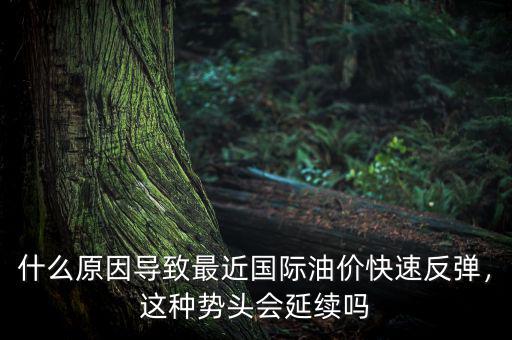 什么原因?qū)е伦罱鼑H油價快速反彈，這種勢頭會延續(xù)嗎