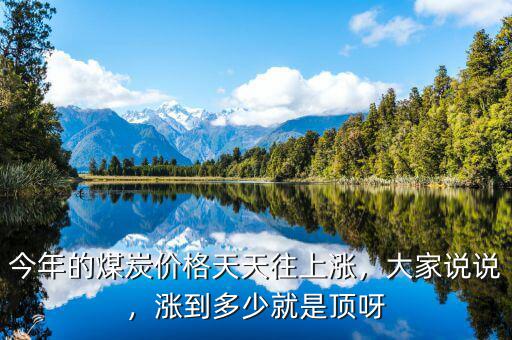 今年的煤炭價格天天往上漲，大家說說，漲到多少就是頂呀