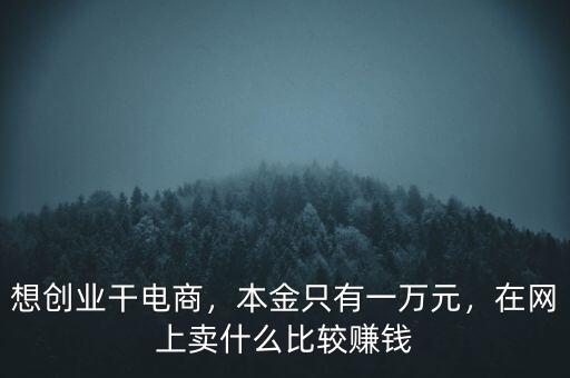 想創(chuàng)業(yè)干電商，本金只有一萬元，在網(wǎng)上賣什么比較賺錢