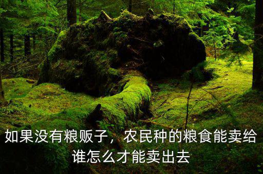 如果沒(méi)有糧販子，農(nóng)民種的糧食能賣(mài)給誰(shuí)怎么才能賣(mài)出去