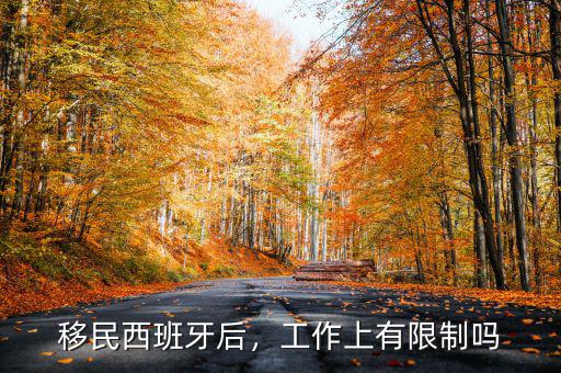 移民西班牙后，工作上有限制嗎