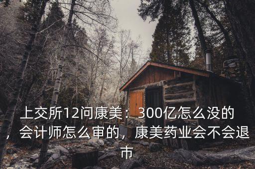 上交所12問康美：300億怎么沒的，會(huì)計(jì)師怎么審的，康美藥業(yè)會(huì)不會(huì)退市