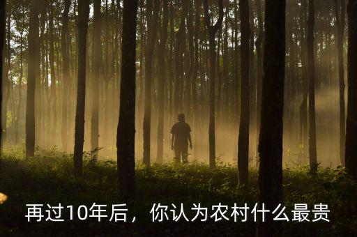 再過10年后，你認(rèn)為農(nóng)村什么最貴