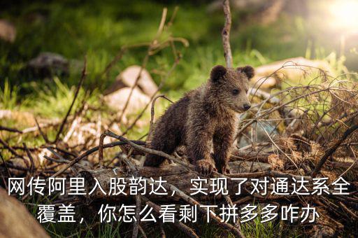 網(wǎng)傳阿里入股韻達，實現(xiàn)了對通達系全覆蓋，你怎么看剩下拼多多咋辦