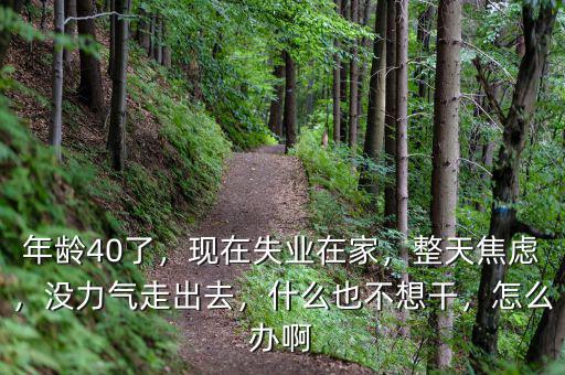 年齡40了，現(xiàn)在失業(yè)在家，整天焦慮，沒力氣走出去，什么也不想干，怎么辦啊