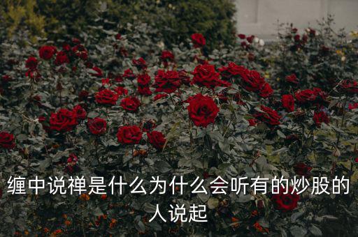 纏中說(shuō)禪是什么為什么會(huì)聽有的炒股的人說(shuō)起