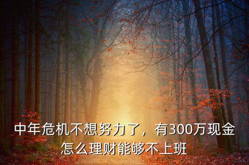 中年危機(jī)不想努力了，有300萬現(xiàn)金怎么理財(cái)能夠不上班