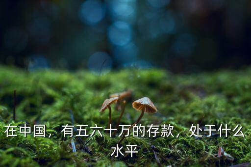 在中國，有五六十萬的存款，處于什么水平