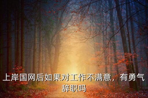 上岸國網(wǎng)后如果對工作不滿意，有勇氣辭職嗎