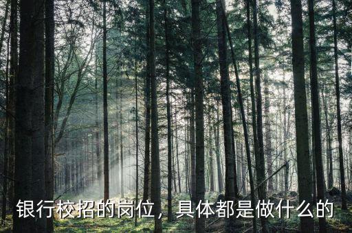 銀行校招的崗位，具體都是做什么的