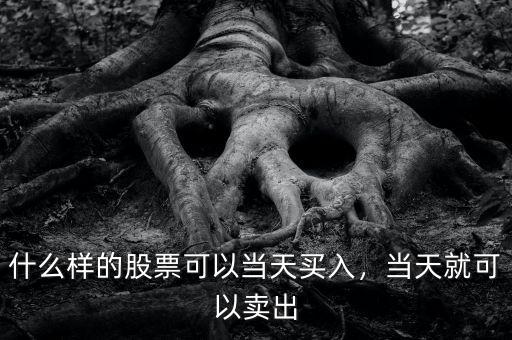 什么樣的股票可以當(dāng)天買(mǎi)入，當(dāng)天就可以賣(mài)出