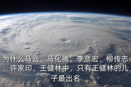 為什么馬云、馬化騰、李彥宏、柳傳志、許家印、王健林中，只有王健林的兒子最出名
