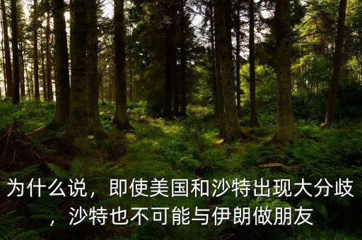 為什么說，即使美國和沙特出現(xiàn)大分歧，沙特也不可能與伊朗做朋友