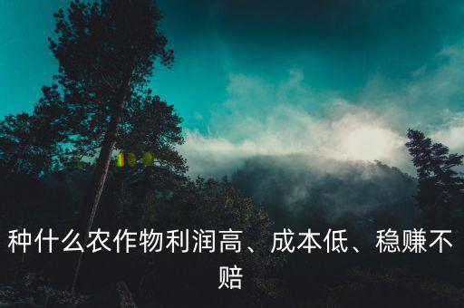 種什么農(nóng)作物利潤(rùn)高、成本低、穩(wěn)賺不賠
