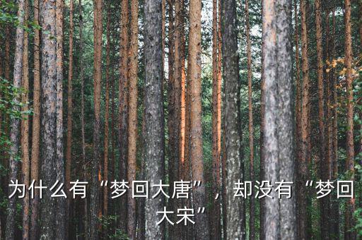 為什么有“夢(mèng)回大唐”，卻沒(méi)有“夢(mèng)回大宋”