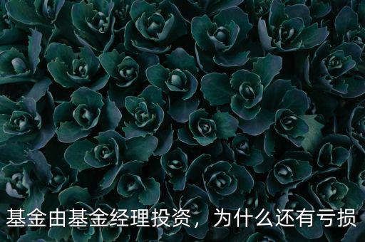 基金由基金經(jīng)理投資，為什么還有虧損