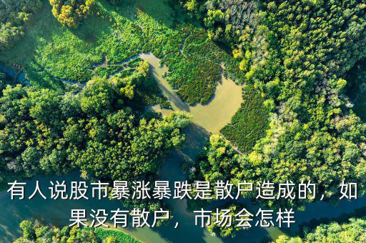 有人說股市暴漲暴跌是散戶造成的，如果沒有散戶，市場會(huì)怎樣