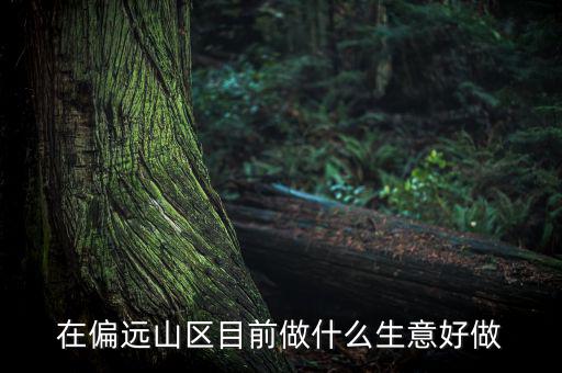 偏遠(yuǎn)城市做什么項(xiàng)目,可用5年。做什么項(xiàng)目好呢