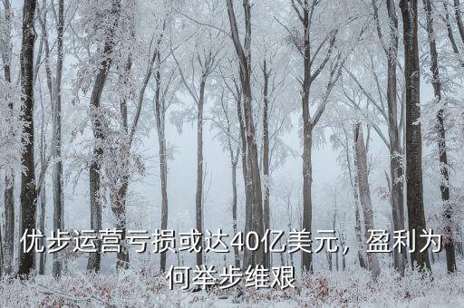 優(yōu)步運(yùn)營虧損或達(dá)40億美元，盈利為何舉步維艱