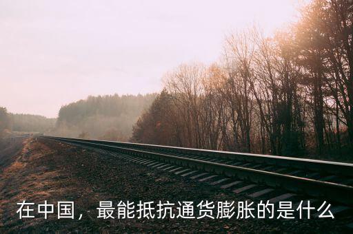 在中國(guó)，最能抵抗通貨膨脹的是什么