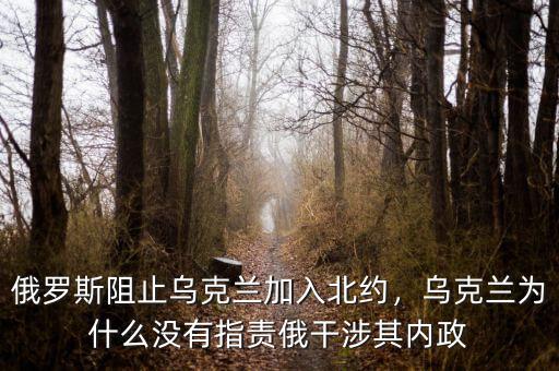 俄羅斯阻止烏克蘭加入北約，烏克蘭為什么沒有指責俄干涉其內(nèi)政