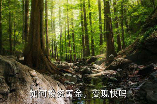 如何投資黃金，變現(xiàn)快嗎