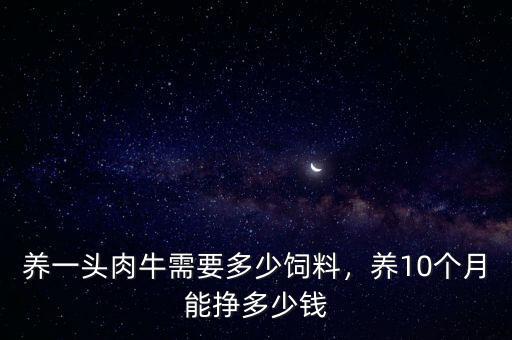 養(yǎng)一頭肉牛需要多少飼料，養(yǎng)10個(gè)月能掙多少錢(qián)
