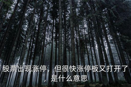什么叫打開(kāi)漲停板,但很快漲停板又打開(kāi)了