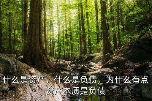 什么是資產(chǎn)，什么是負債，為什么有點資產(chǎn)本質(zhì)是負債