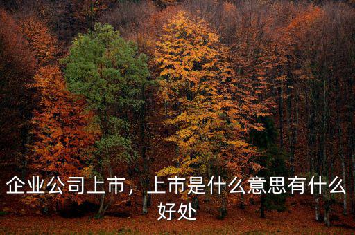 企業(yè)公司上市，上市是什么意思有什么好處
