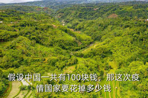 假設(shè)中國一共有100塊錢，那這次疫情國家要花掉多少錢