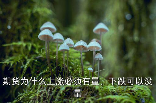 期貨為什么上漲必須有量，下跌可以沒(méi)量