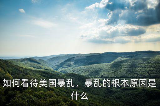 如何看待美國(guó)暴亂，暴亂的根本原因是什么