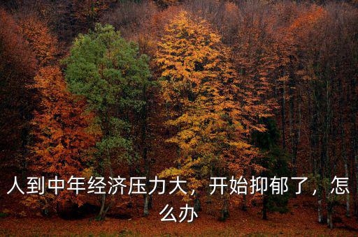 人到中年經(jīng)濟(jì)壓力大，開始抑郁了，怎么辦