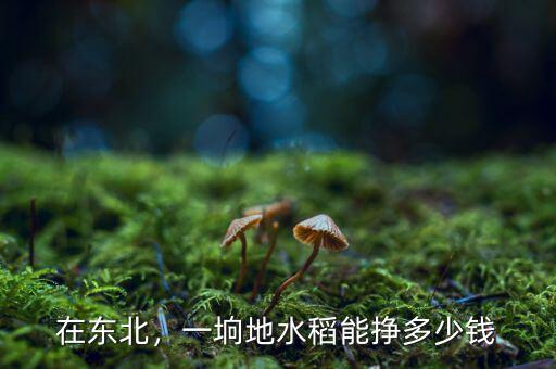 在東北，一坰地水稻能掙多少錢