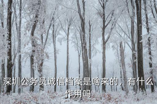 深圳公務(wù)員誠信檔案是啥來的，有什么作用嗎