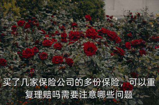 什么保險可以重復,哪些保險可以重復購買