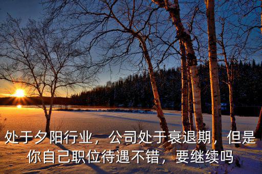 處于夕陽(yáng)行業(yè)，公司處于衰退期，但是你自己職位待遇不錯(cuò)，要繼續(xù)嗎
