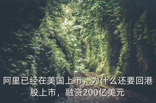 阿里已經(jīng)在美國上市，為什么還要回港股上市，融資200億美元
