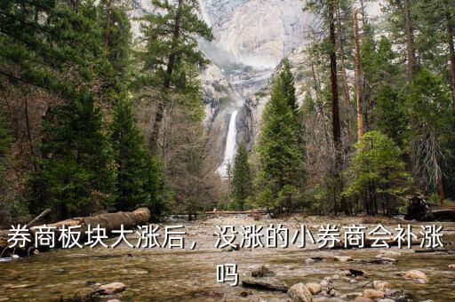 券商板塊大漲后，沒漲的小券商會補(bǔ)漲嗎
