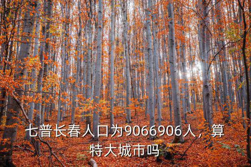 七普長(zhǎng)春人口為9066906人，算特大城市嗎