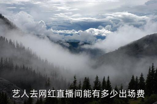 藝人去網(wǎng)紅直播間能有多少出場費(fèi)