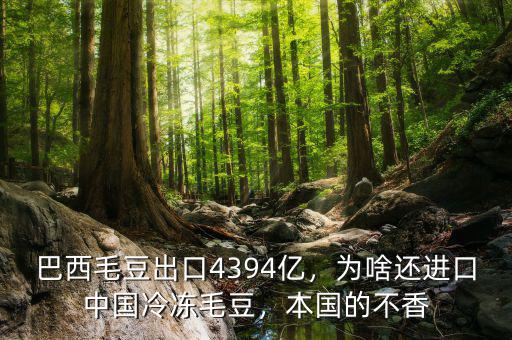 巴西毛豆出口4394億，為啥還進(jìn)口中國冷凍毛豆，本國的不香