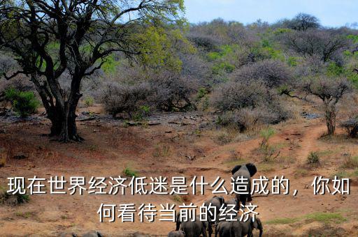 現(xiàn)在世界經(jīng)濟低迷是什么造成的，你如何看待當前的經(jīng)濟