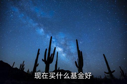 現(xiàn)在買什么基金好