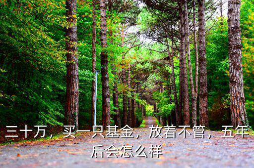 三十萬，買一只基金，放著不管，五年后會怎么樣