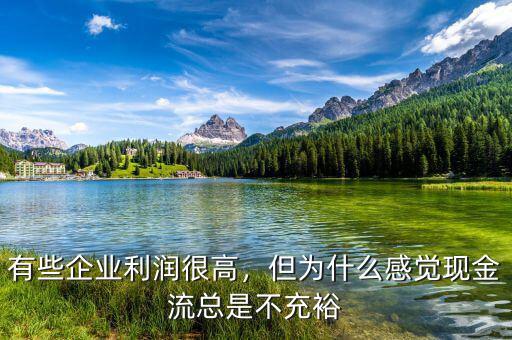 有些企業(yè)利潤很高，但為什么感覺現(xiàn)金流總是不充裕