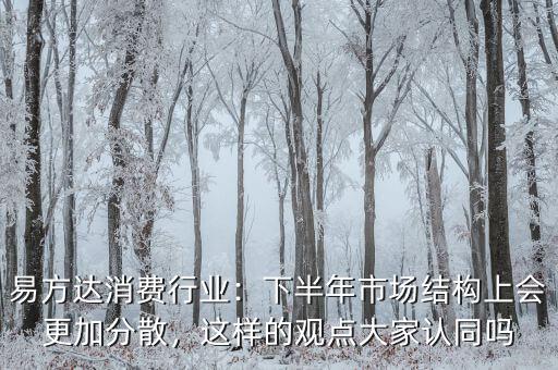 易方達(dá)消費(fèi)行業(yè)：下半年市場結(jié)構(gòu)上會更加分散，這樣的觀點(diǎn)大家認(rèn)同嗎