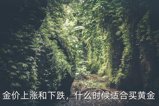 金價什么時候會漲,黃金價格一般什么時候會漲