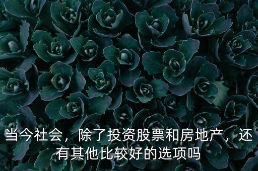 當(dāng)今社會(huì)，除了投資股票和房地產(chǎn)，還有其他比較好的選項(xiàng)嗎